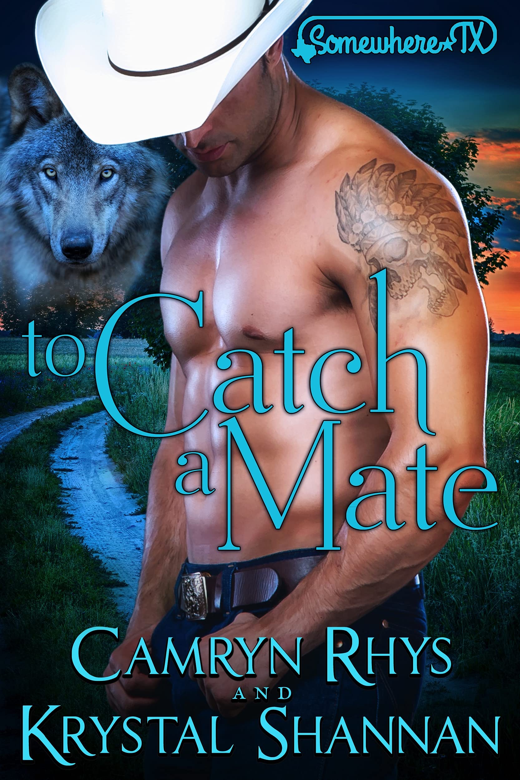 To Catch A Mate book cover
