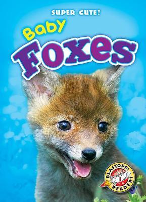 Baby Foxes book cover