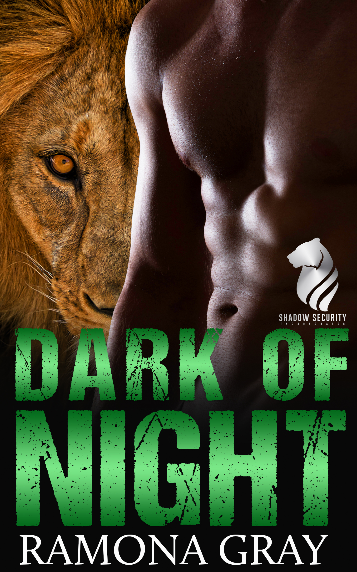 Shadow Security book cover 3