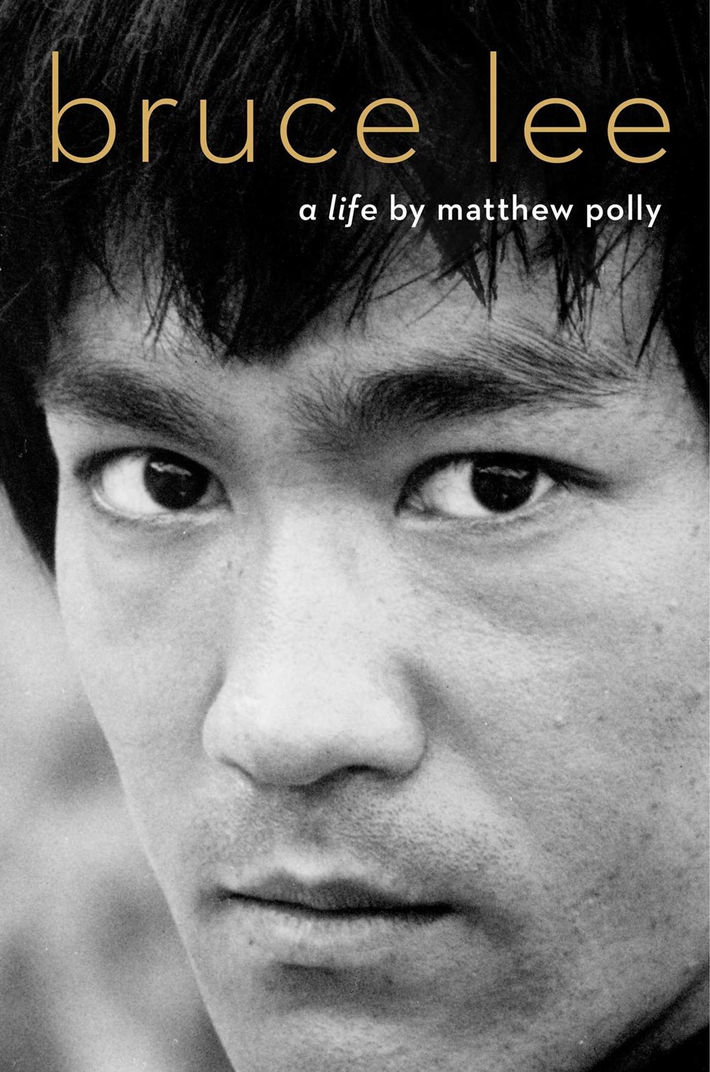 Bruce Lee book cover