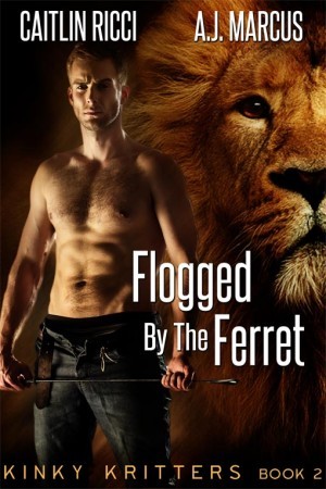Kinky Kritters book cover 2