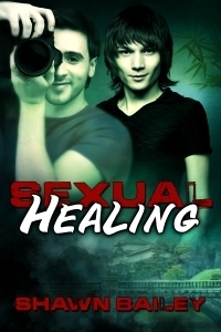 Sexual Healing book cover
