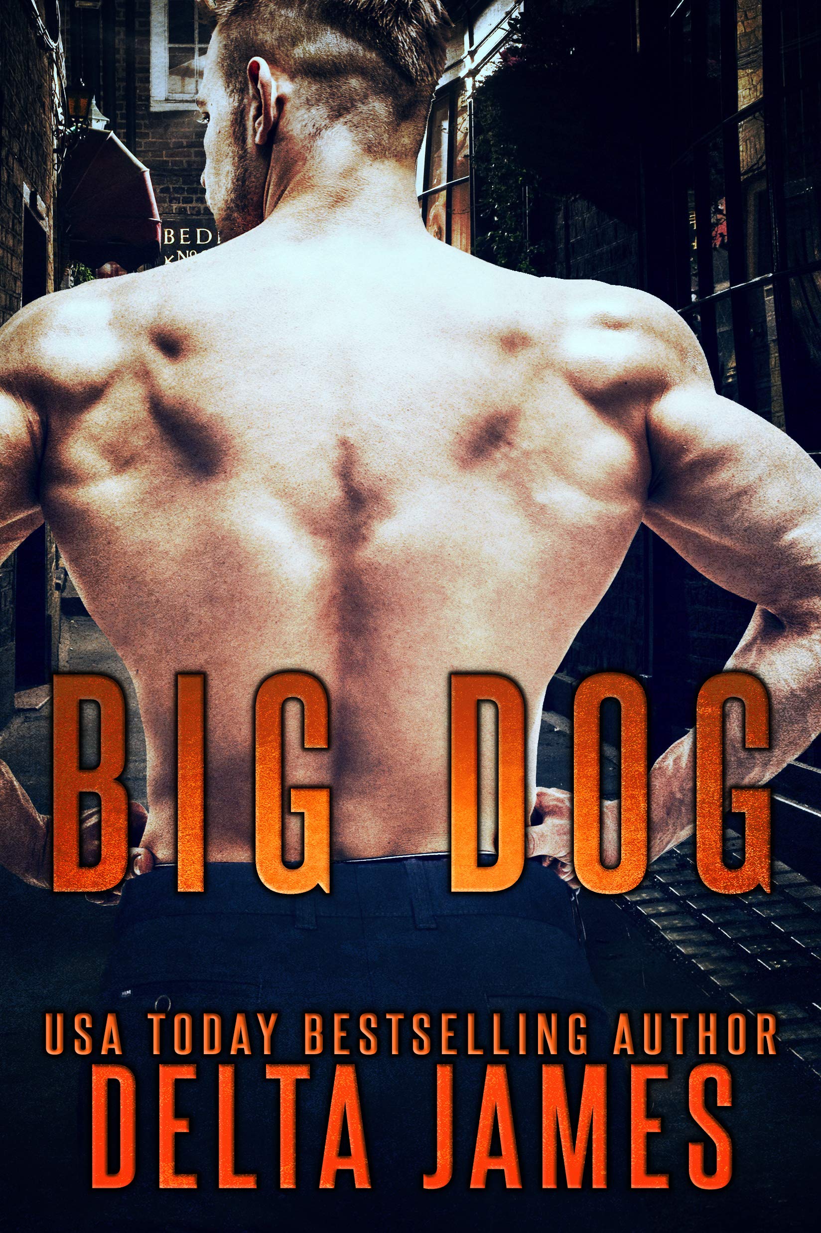 Big Dog book cover