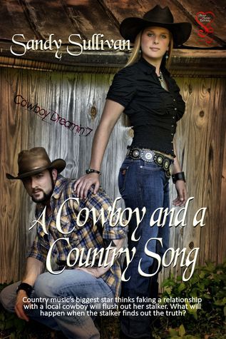 A Cowboy and a Country Song book cover