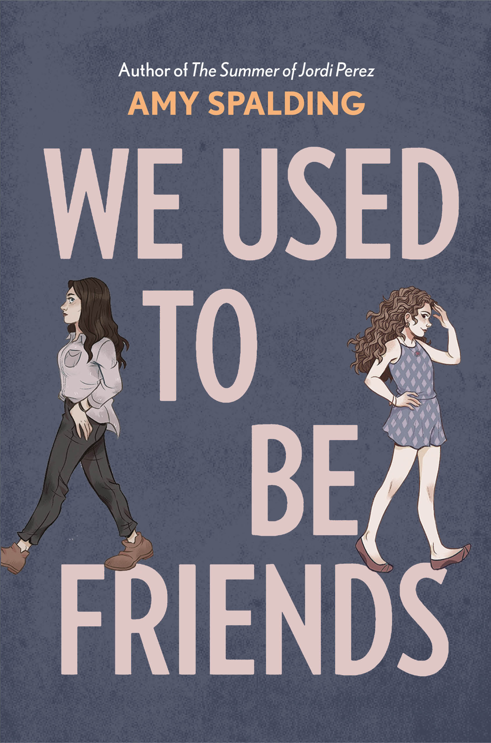 We Used to Be Friends book cover