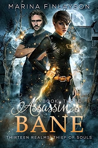 Thirteen Realms: Thief of Souls book cover 3