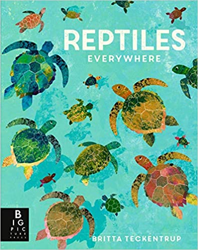 Reptiles Everywhere book cover