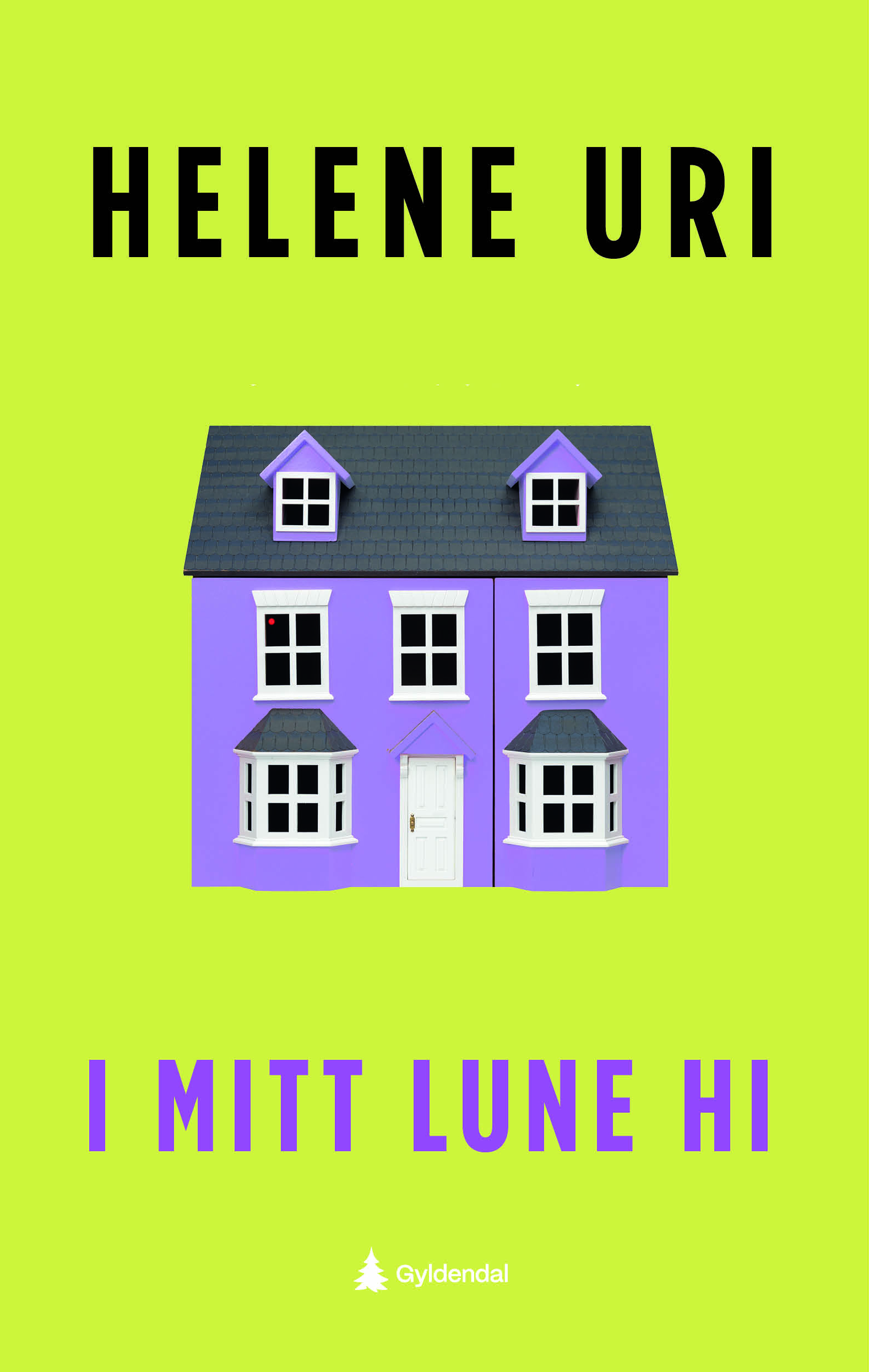I mitt lune hi book cover