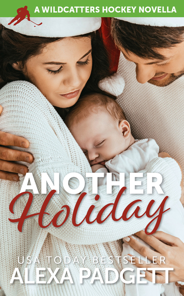 Another Holiday book cover