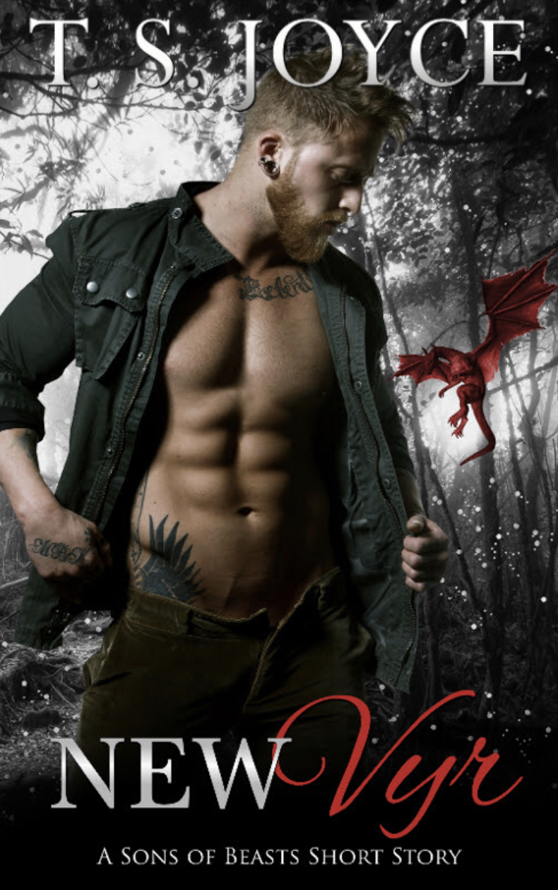 New Vyr book cover
