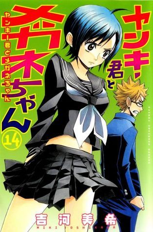 ヤンキー君とメガネちゃん 14 [Yankee-kun to Megane-chan 14] book cover