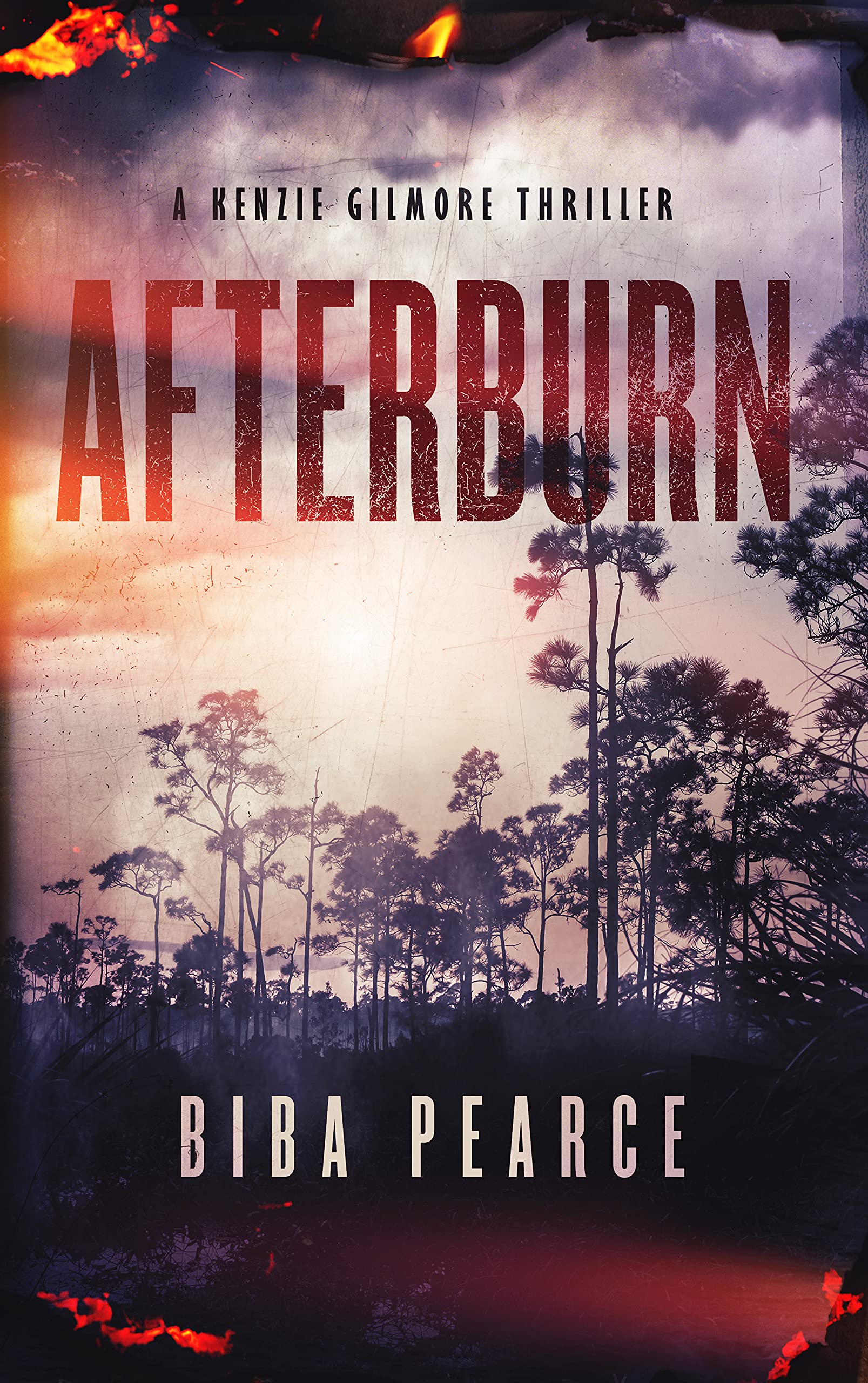 Afterburn book cover