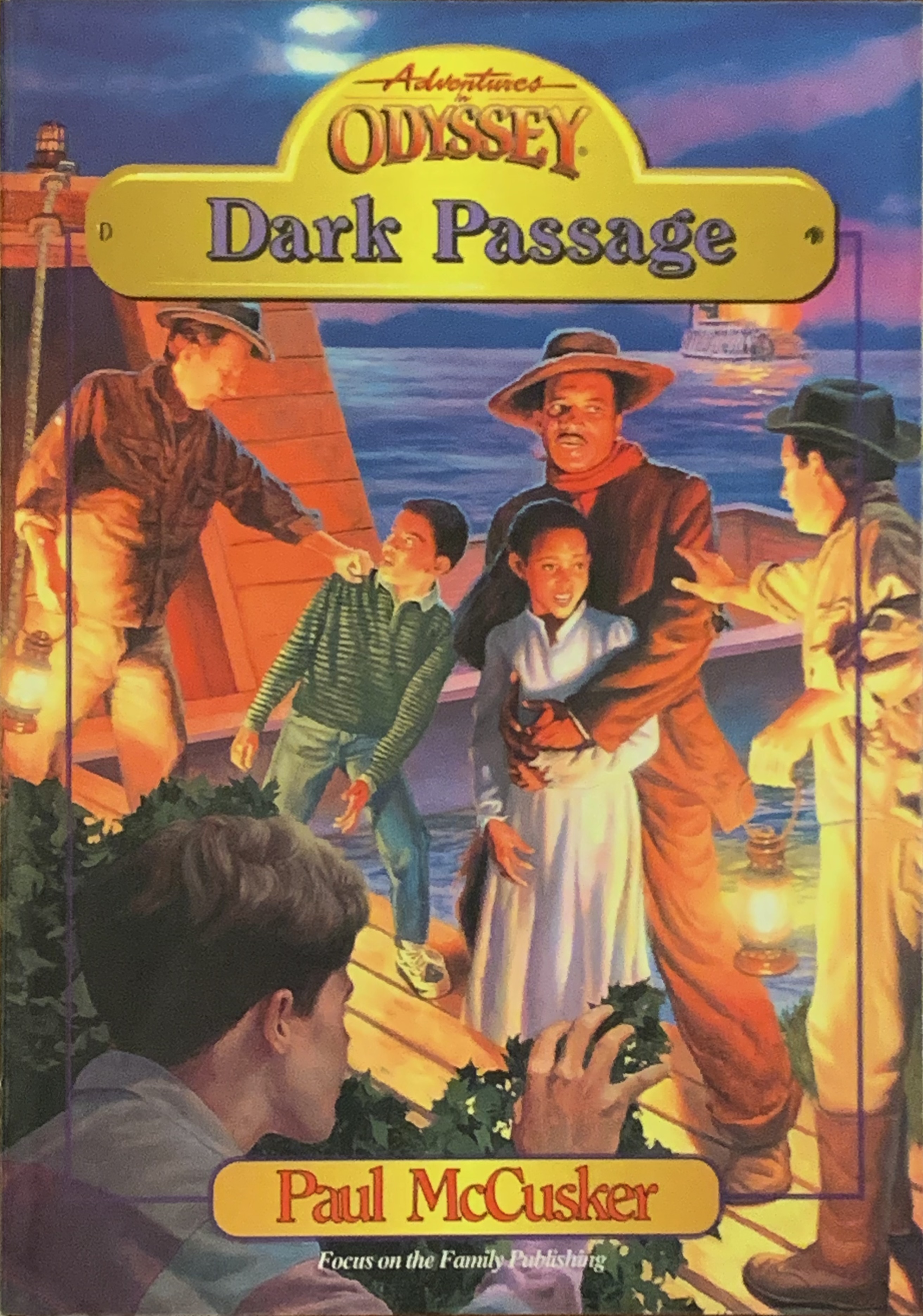 Dark Passage book cover