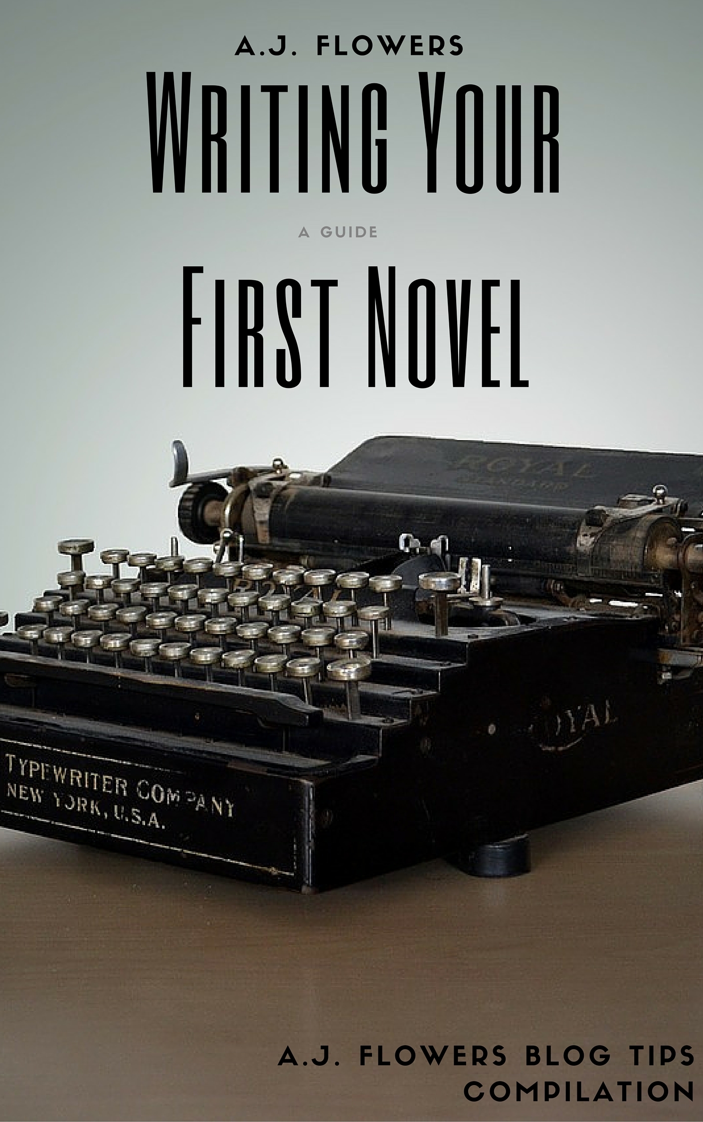 A Guide to Writing Your First Novel book cover
