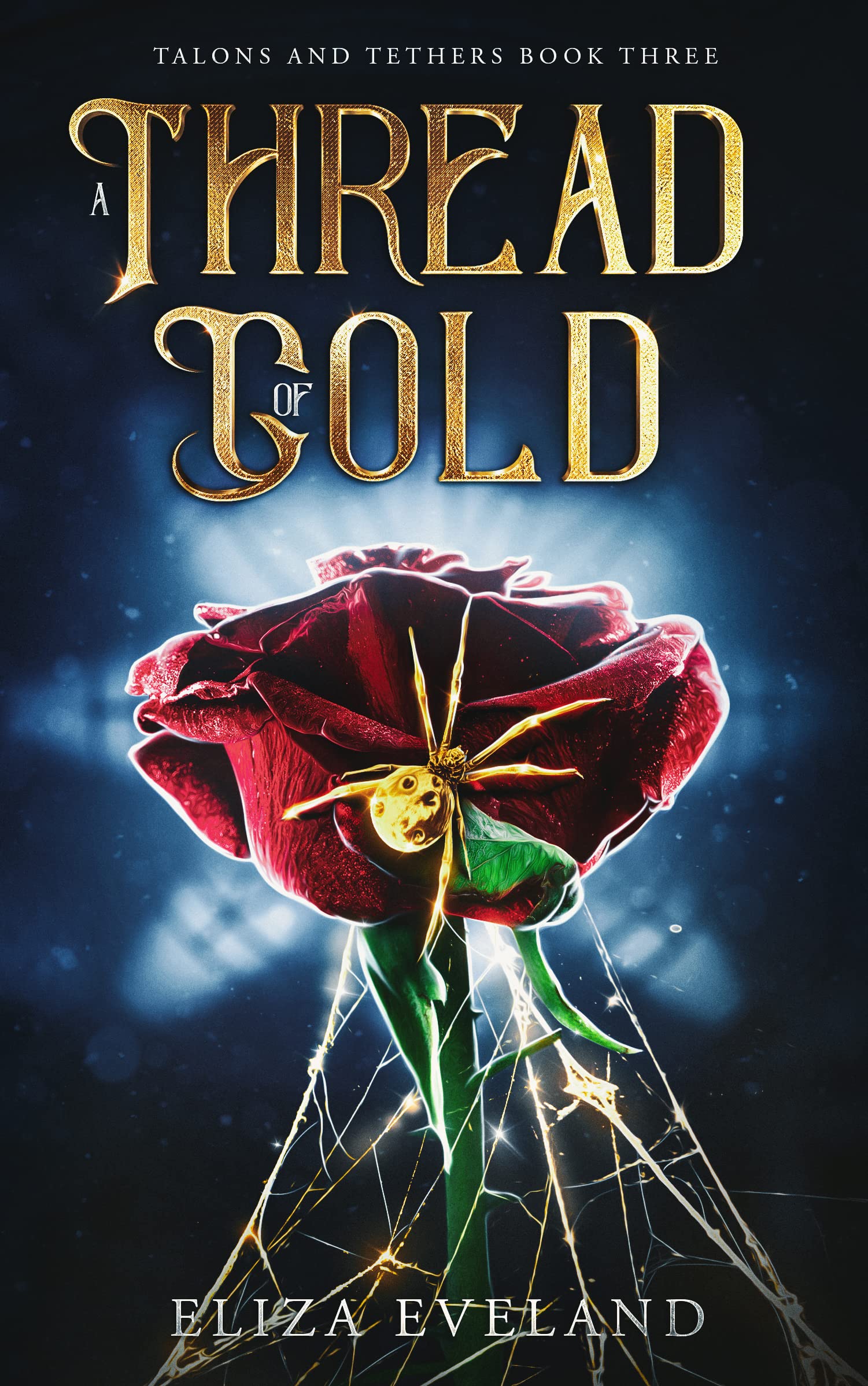 Talons and Tethers book cover 3