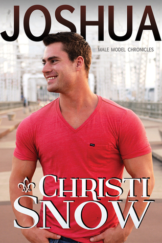 Male Model Chronicles book cover 3