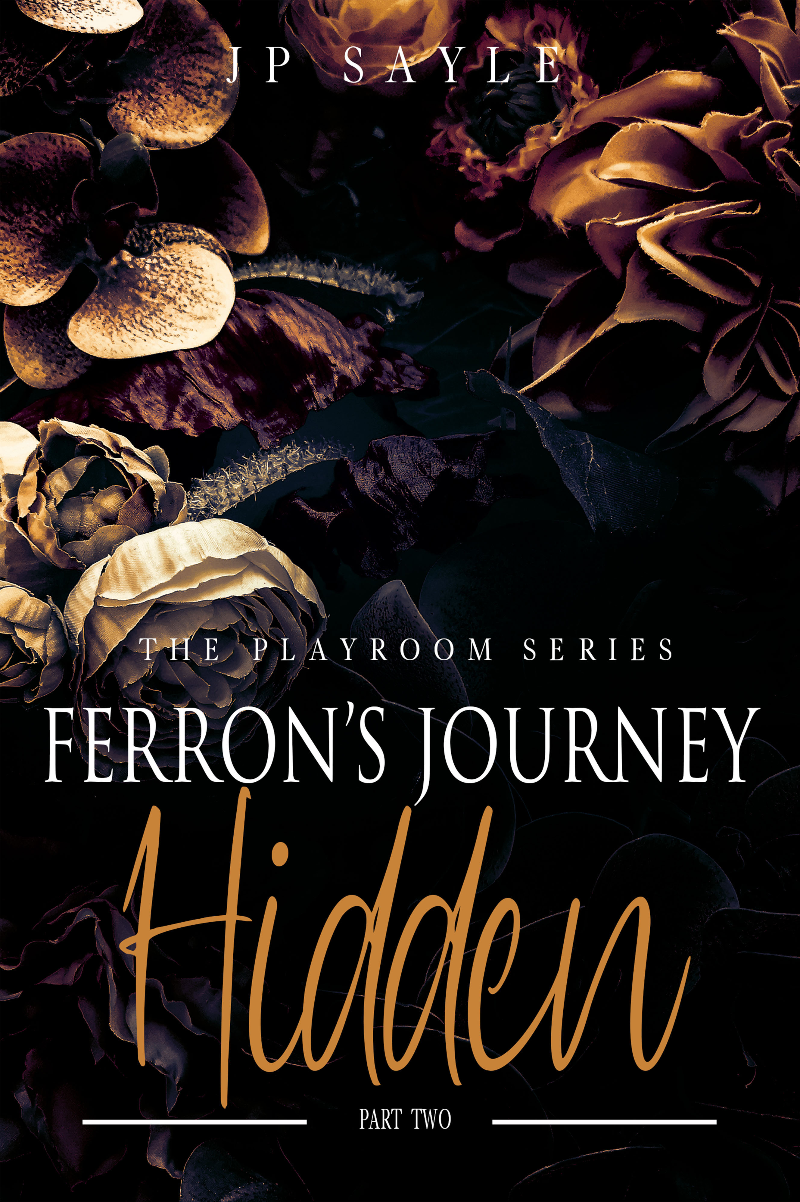 Hidden book cover