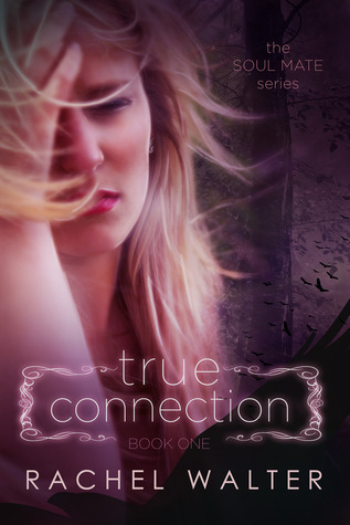 Soul Mate book cover 1