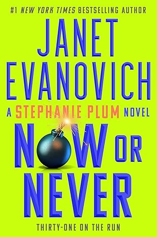 Now or Never book cover