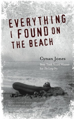 Everything I Found on the Beach book cover