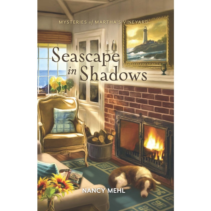 Seascape in Shadows book cover