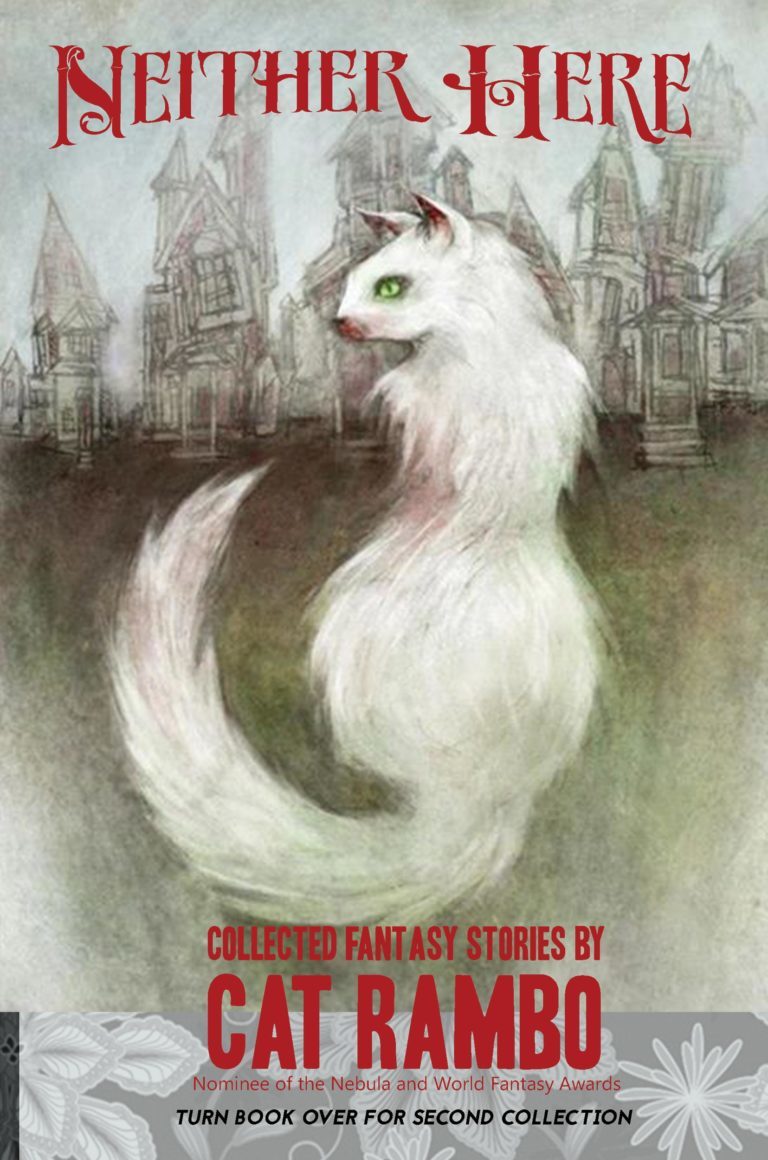 Neither Here Nor There book cover
