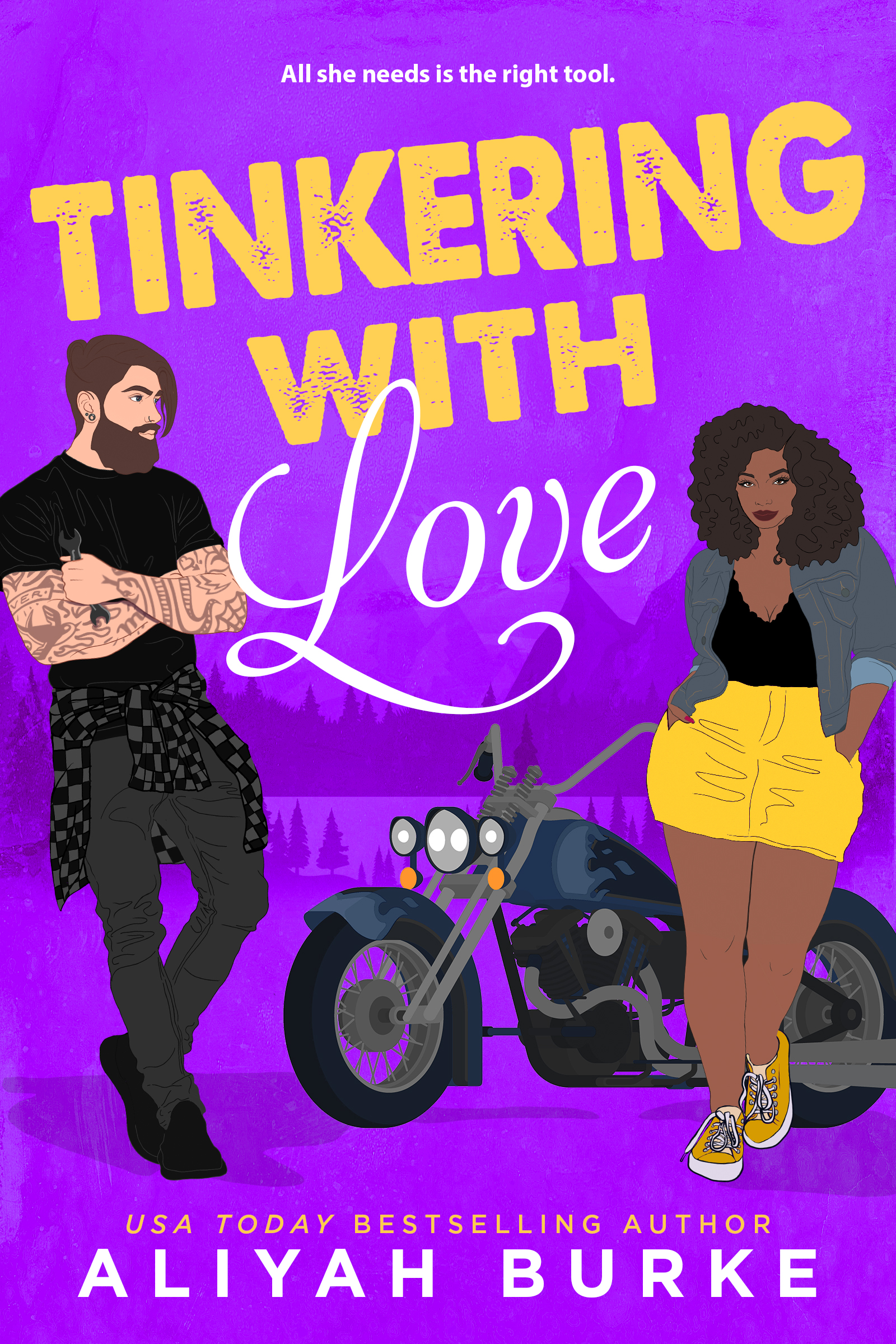 Rock Falls book cover 1