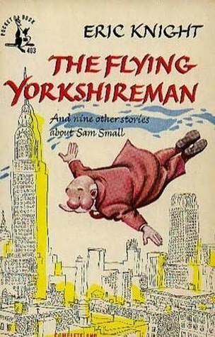 Sam Small Flies Again book cover