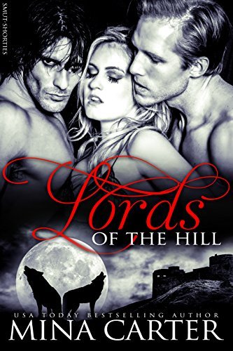Master of the City book cover 2