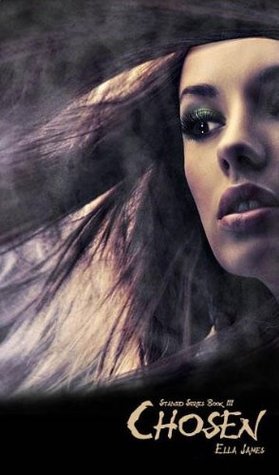 Stained book cover 3