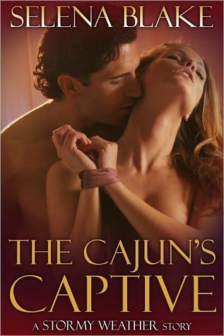 Stormy Weather book cover 1