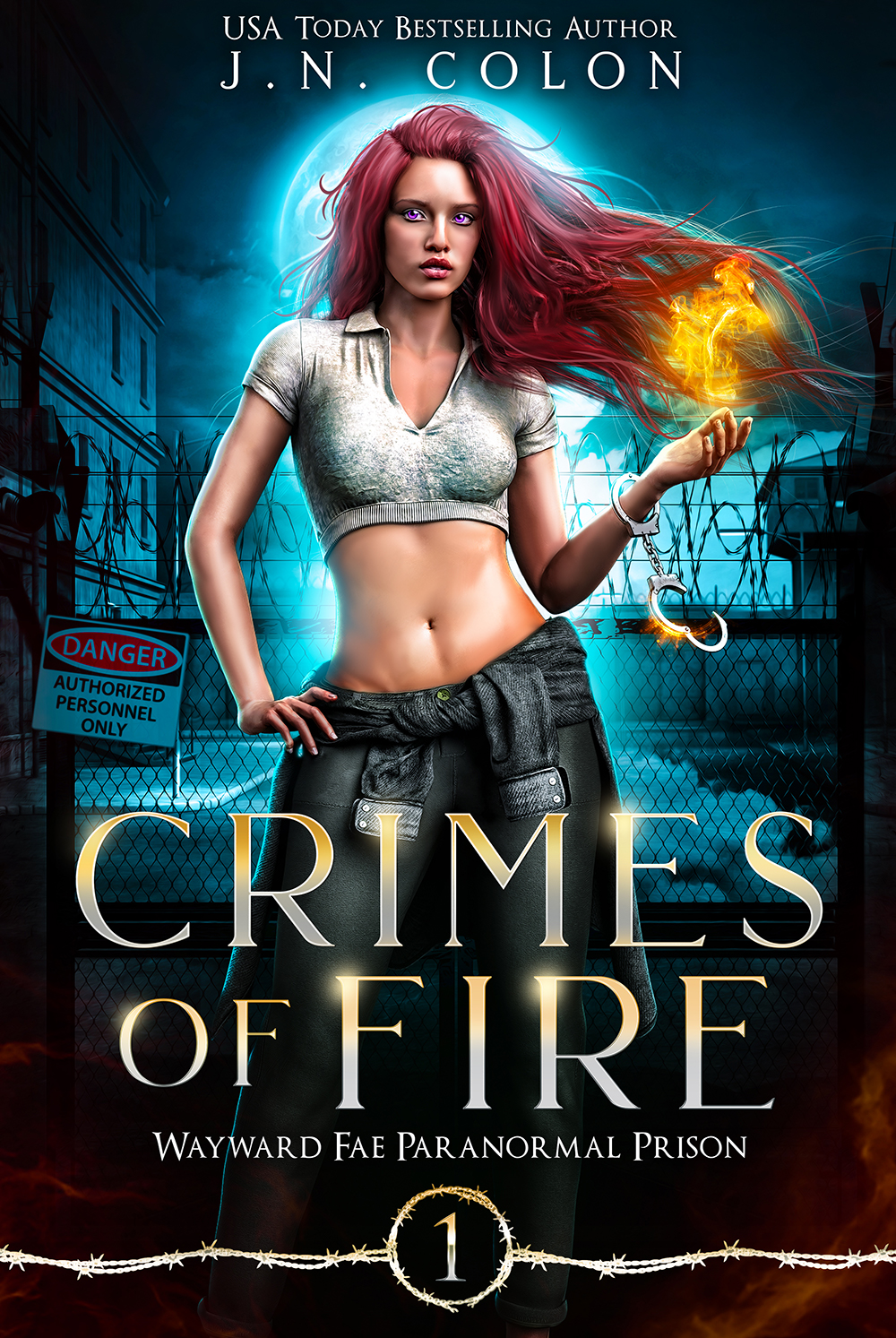 Wayward Fae Paranormal Prison book cover 1