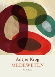 Synapse book cover