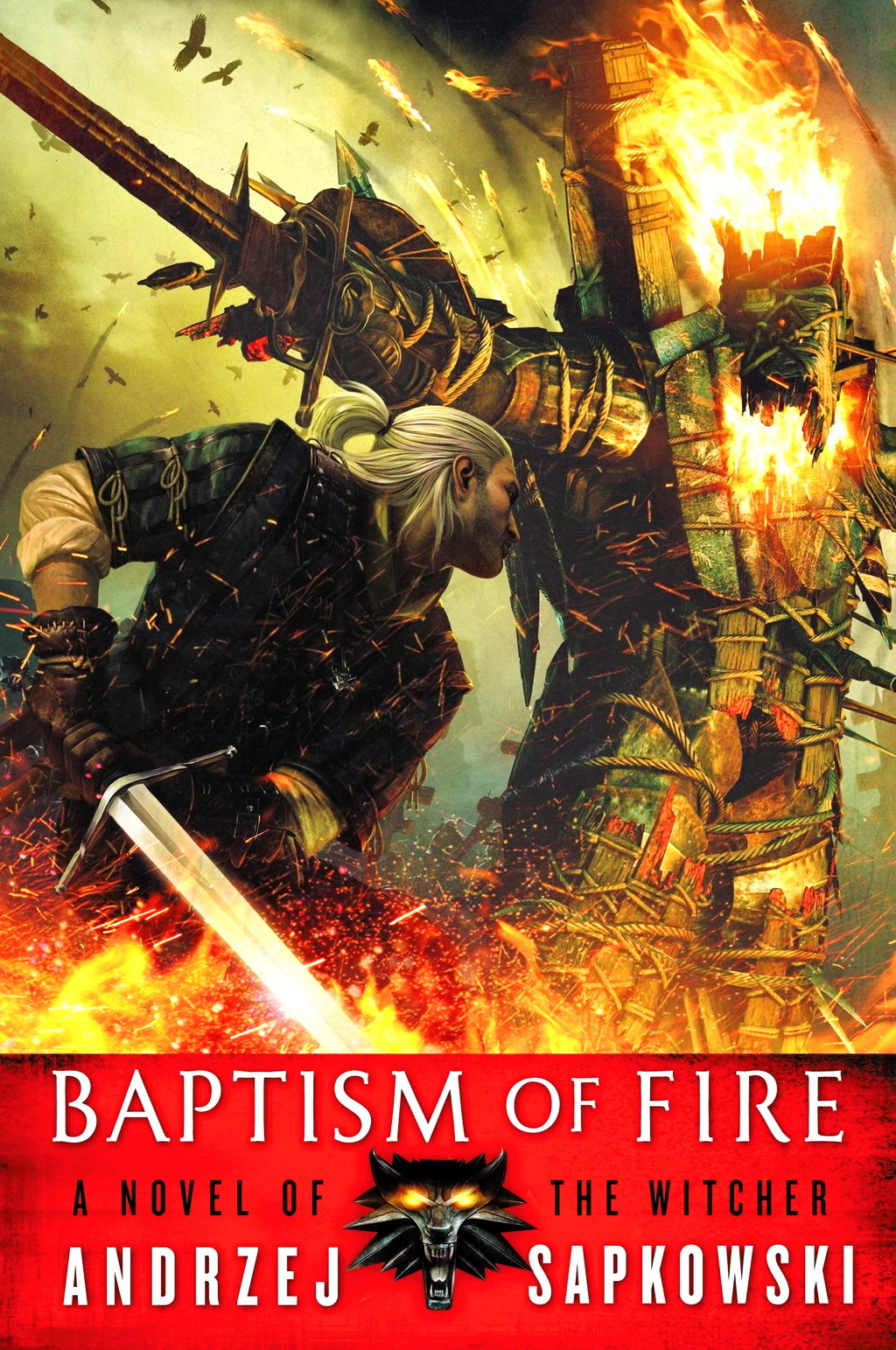 The Witcher book cover 3