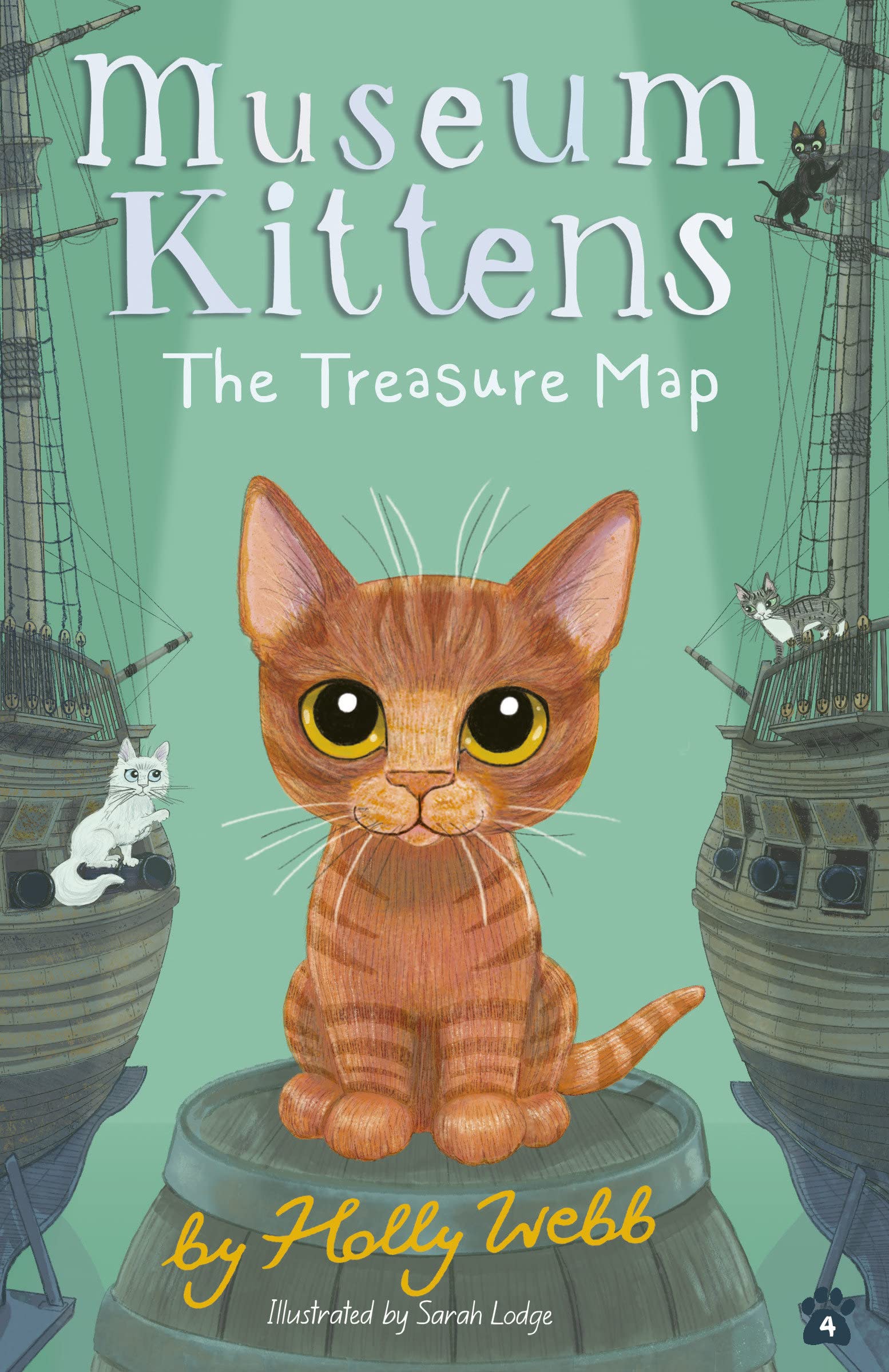 The Treasure Map book cover