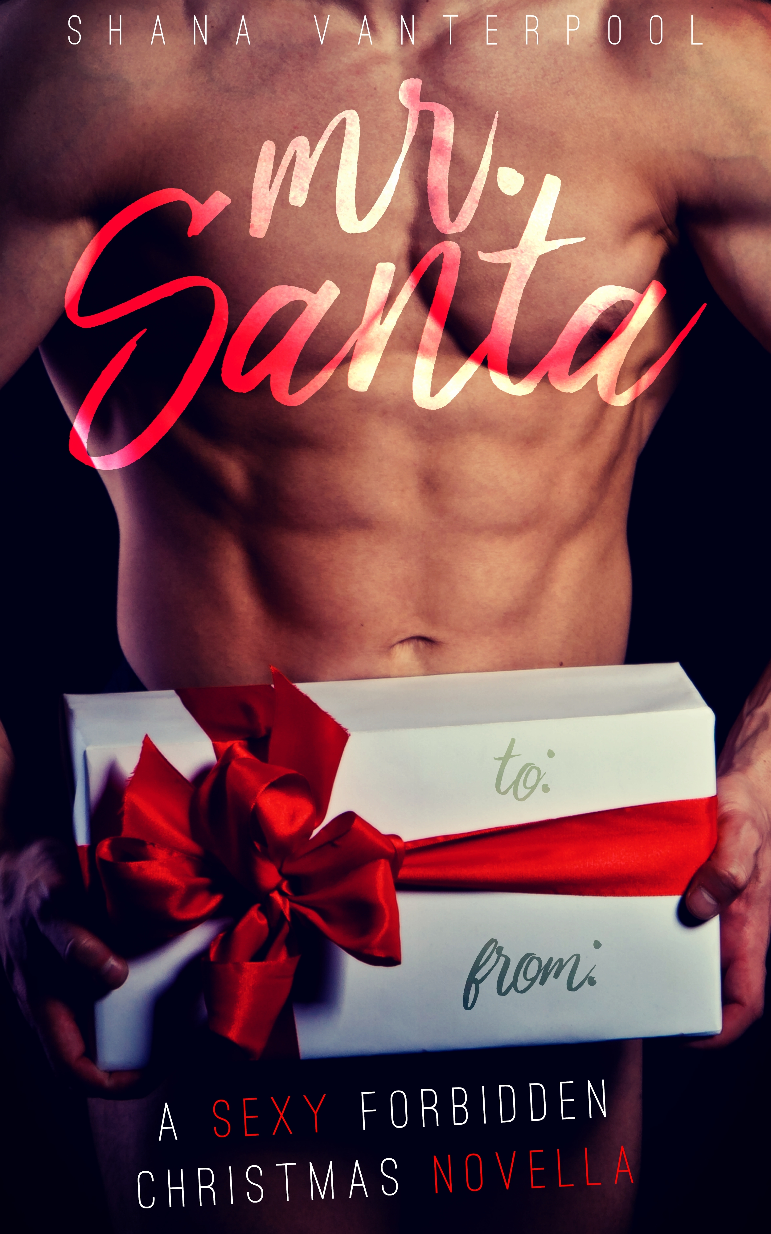 Mr. Santa book cover