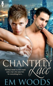 Chantilly Lace book cover