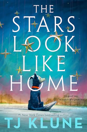 The Stars Look Like Home book cover
