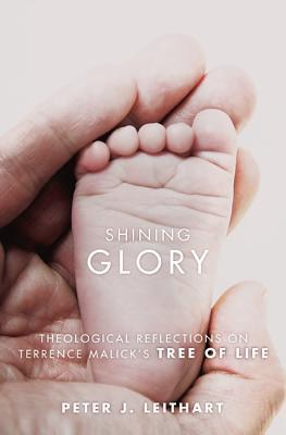 Shining Glory book cover