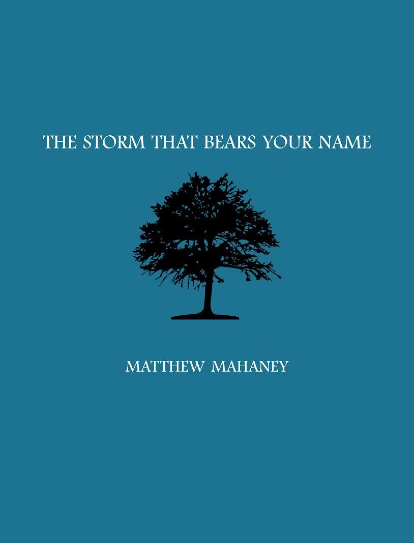 The Storm That Bears Your Name book cover