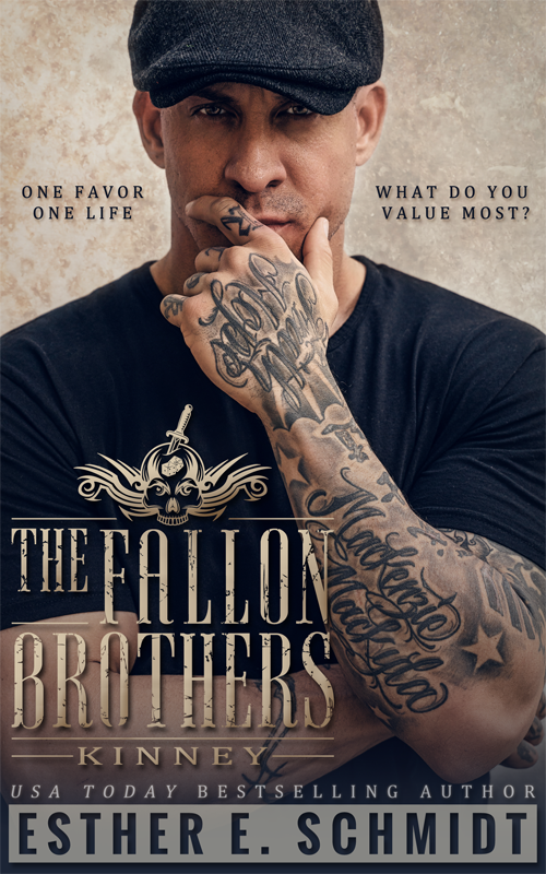 The Fallon Brothers book cover 1