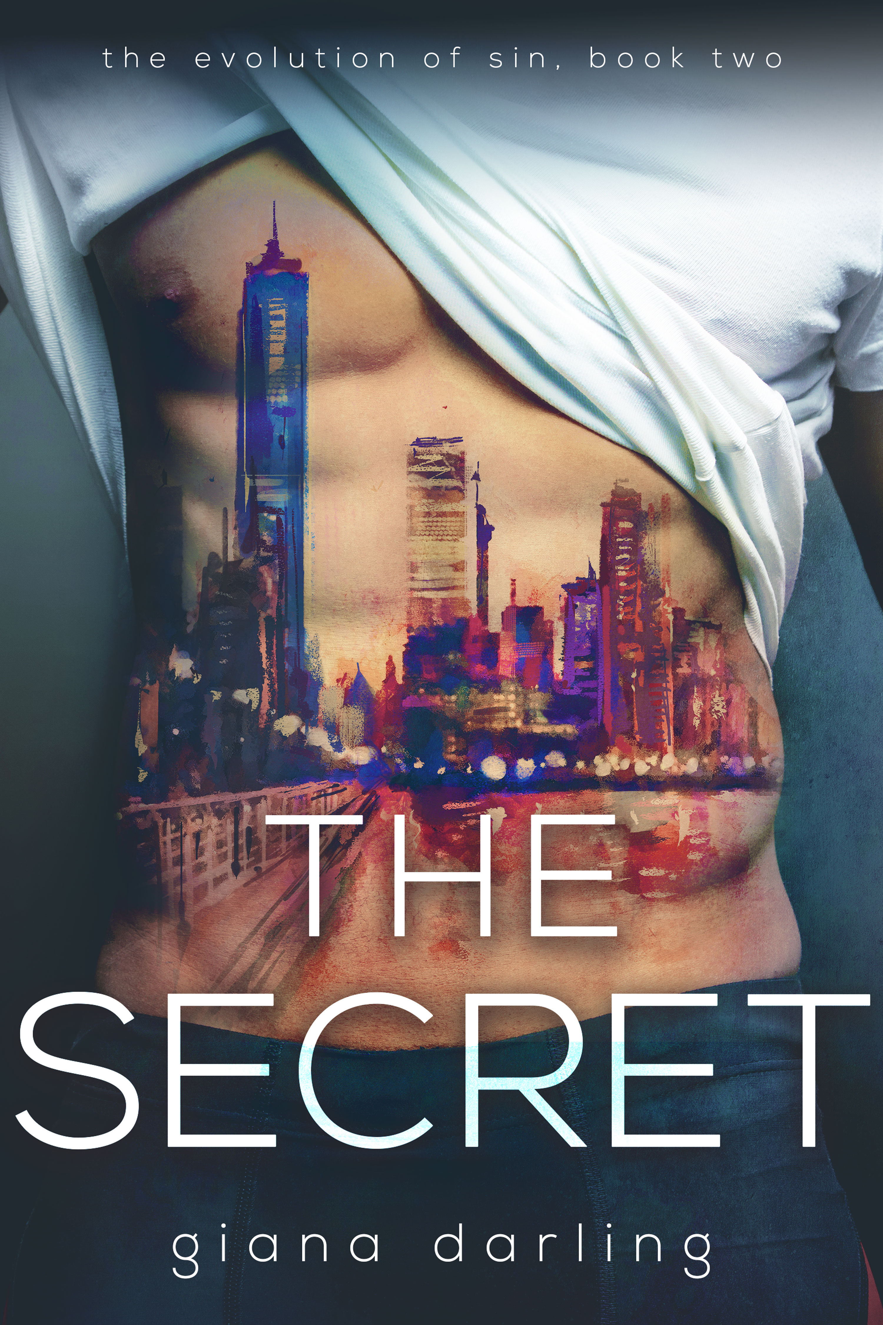 The Secret book cover