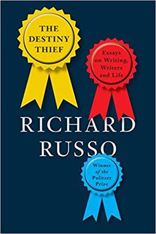 The Destiny Thief book cover