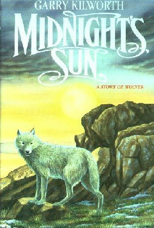 Midnight's Sun book cover
