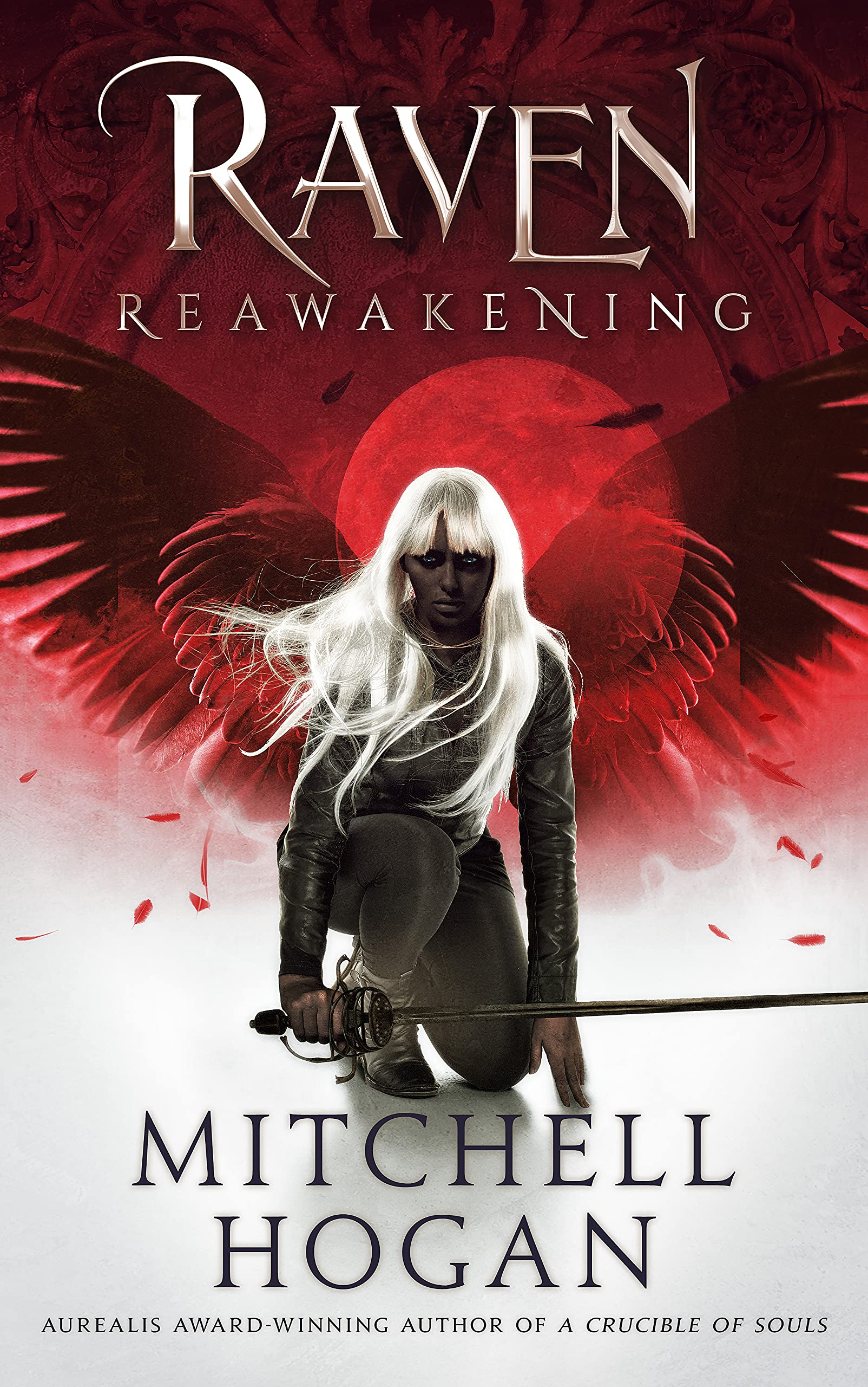 The Demonic Designs book cover 1