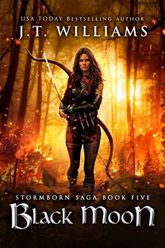 Ranger's Revenge book cover 2