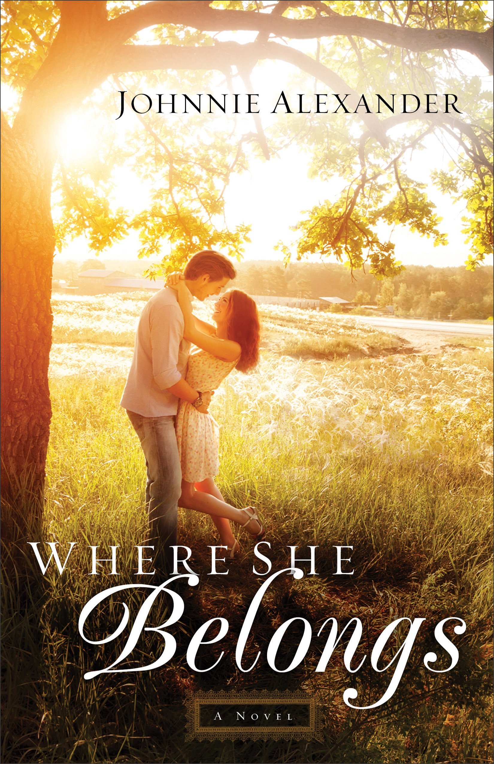 Misty Willow book cover 1