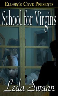 School For Virgins book cover