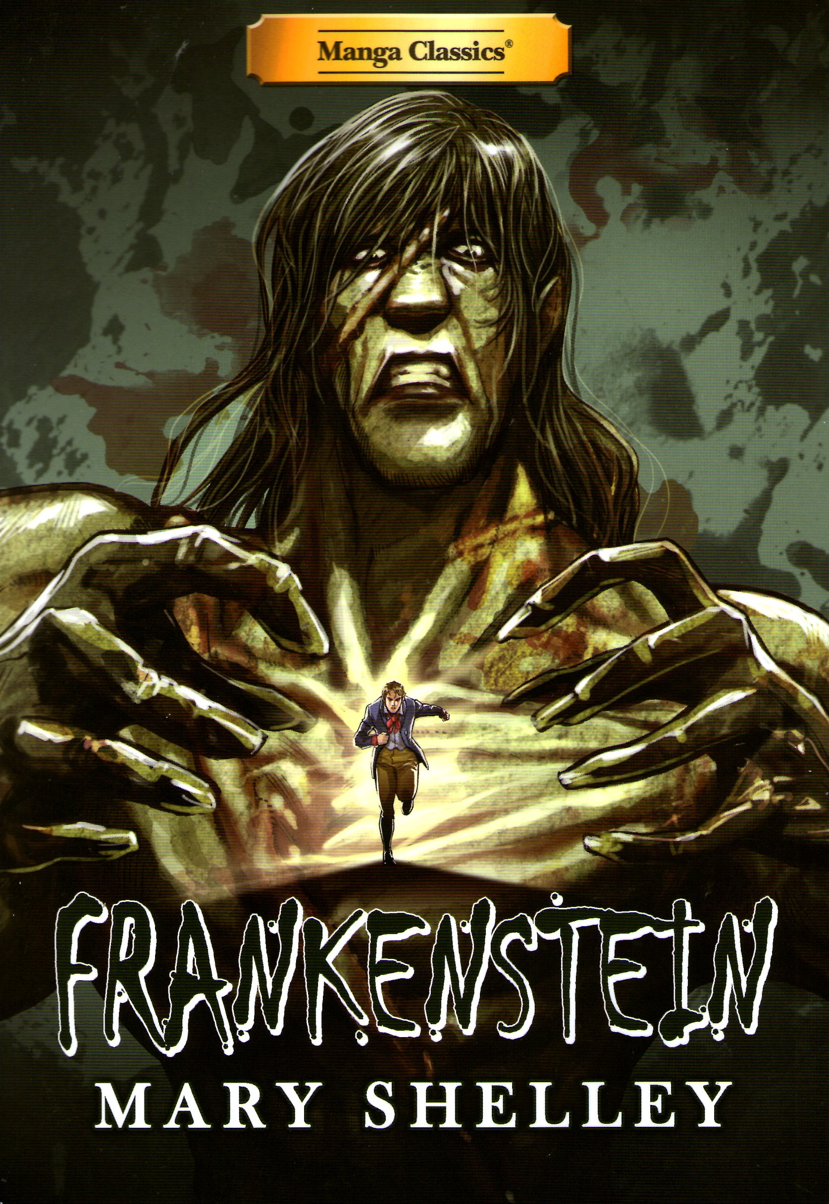 Frankenstein book cover