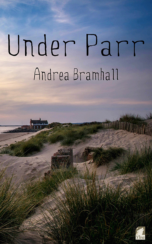 Norfolk Coast Investigation Story book cover 2